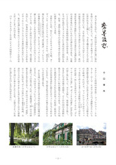 磨墨随想29年11月号-@カラー.jpg